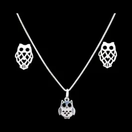 CONJUNTO LASER CORUJA