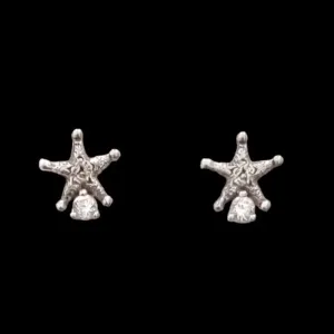 BRINCO ESTRELA COM ZIRCONIA REDONDA